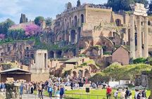 Rome: Guided Tour of the Roman Forum & Palatine Hill