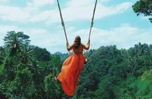 Ubud Private Tour: Waterfall, Monkey Forest, Rice Terrace, Temple