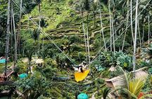 Ubud Private Tour: Waterfall, Monkey Forest, Rice Terrace, Temple
