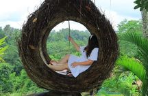 Ubud Private Tour: Waterfall, Monkey Forest, Rice Terrace, Temple