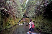 Hike to "Vuelta de Cañón" waterfall at the foot of Poas volcano.