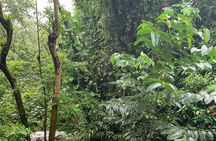 El Yunque National Forest and Luquillo Kiosks Combo