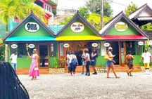 Day Trip to Bob Marley Nine Mile from Montego Bay or Falmouth