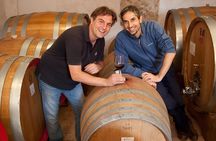 Boutique Winery Tour & Tasting in Valpolicella