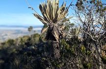Hike in Bogota's East Hills