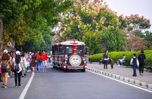 Changsha Private Guided Tour: Explore the Must-Sees in One Day