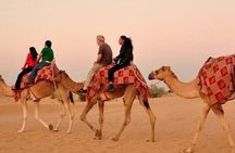 Dubai Desert Safari Dune Bashing ,ATV Quad,Camel Ride and BBQ