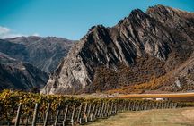 Taste of Gibbston private Wine Tour from Queenstown and return.