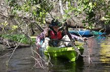 Small Group Blackwater Creek River Kayak Tour