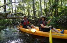 Small Group Blackwater Creek River Kayak Tour