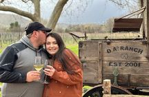 A Multi-Vineyard And Winery Tour