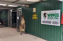 Wings Wildlife Park and Scenic Tour 