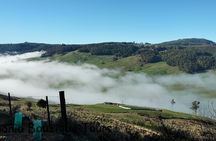 Gunns Pains Caves Sightseeing Tour 