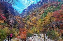 Mt. Seorak+Nami Island+Garden of Morning Calm Day Trip from Seoul