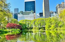 Central Park Pedicab Tour / Photo Stops