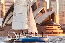 Sydney Whale Watching and Catamaran Sailing Private Half Day Tour