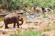 8KM Inflatable Kayaking Adventure