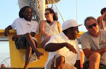 Catamaran Sunset and Cocktail Cruise