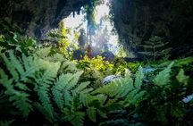 Pygmy Cave | The magnificent cave in Phong Nha | 2 days 1 night