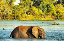 Victoria Falls Zambezi River with Sunrise Breakfast River Cruise