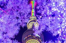 Tokyo Full Day Customizable Tour with English Speaking Driver