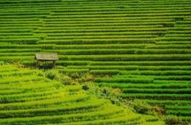 Sa Pa Trekking 2 Days 3 Nights Homestay by Night Train