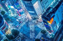 Tokyo Shibuya Crossing & Hidden Streets Walking Tour