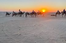 Dromedary Expedition with Night in Camp and Sandboard