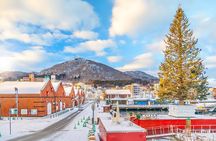 Hakodate Private Customizable Full Day Tour