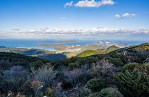 Toba Private Customized Full Day Tour