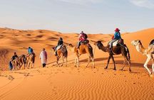 From Marrakech: 3-Day Desert Tour Share-Group And Camel trekking