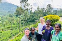 Discover Sri Lanka with Tailored Tours for Timeless Memories