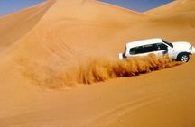 Private Morning Desert Safari with Camel Riding in Dubai