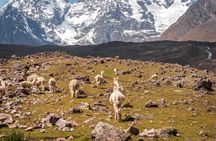 Horseback riding to Ausangate and the 7 Lakes 1 Day Tour Private