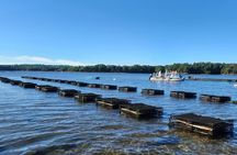 Oyster Tasting and Kayak Tour