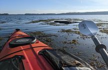 Oyster Tasting and Kayak Tour