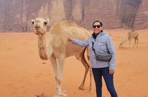 3-Day Tour from Amman: Jerash, Ajloun, Petra, Wadi Rum & Dead SEA