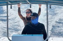 Mobulas Safari and Wildlife in La Ventana with a Marine Biologist