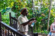 The Essential Bob Marley Tour: Visit His Home and more