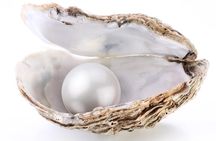 La Paz: Pearl Farm Experience and shop