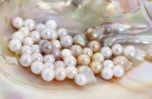 La Paz: Pearl Farm Experience and shop