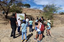 Monte Albán Half Day Tour