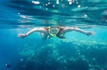 La Paz: Coral Farm Snorkel Tour