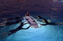 Sunset Manta Ray Tour in Kailua-Kona