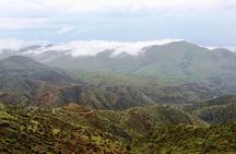 Sonoran Desert To MountainTop Jeep Tour minutes from Scottsdale