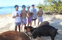 Private speed boat beach and bar hopping visiting Rose island