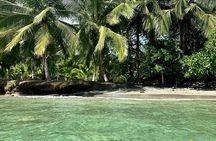 Gandoca-Manzanillo Hike Tour with Dolphin Watching
