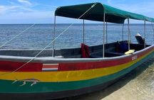 Gandoca-Manzanillo Hike Tour with Dolphin Watching