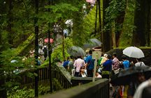 Nikko World Heritage Full Day Trip