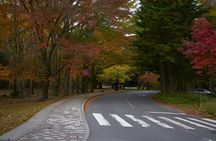 Nikko World Heritage Full Day Trip